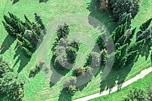 Aerial top view of green trees and walking path in summer park