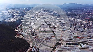 Aerial top view of greenhouses. Drone flying over the massive vinyl hothouses constructions. Organic indoor farming