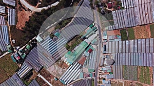 Aerial top view of greenhouses. Drone flying over the massive vinyl hothouses constructions. Organic indoor farming