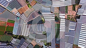 Aerial top view of greenhouses. Drone flying over the massive vinyl hothouses constructions. Organic indoor farming