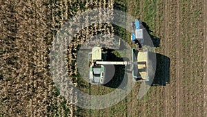 Aerial Top View Harvester Collect Ripe Corn Field And Pour It In Truck Trailer