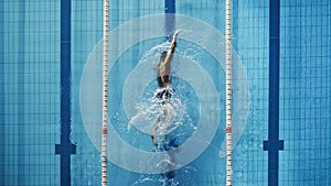 Aerial Top View Male Swimmer Swimming in Swimming Pool. Professional Athlete Training for the