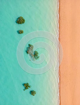 Aerial top view of Mangrove on the water in Broome, Australia