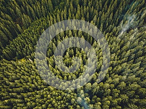 Letecký pohľad zhora na zahmlený les s cestou v horách. Fotografovanie dronom. Ekosystém dažďového pralesa a zdravé životné prostredie koncept