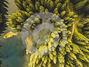 Letecký pohľad zhora na zahmlený les s cestou v horách. Fotografovanie dronom. Ekosystém dažďového pralesa a zdravé životné prostredie koncept