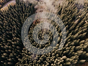 Aerial top view of misty forest with road in the mountains. Drone photography. Rainforest ecosystem and healthy environment concep