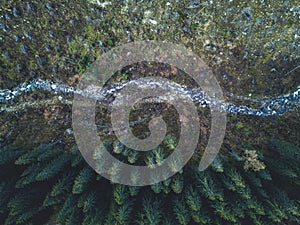 Aerial top view of misty forest trees in forest in Slovakia. Drone photography. Rainforest ecosystem and healthy environment conce