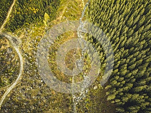 Letecký pohľad zhora na zahmlené lesné stromy v lese na Slovensku. Fotografovanie dronom. Ekosystém dažďového pralesa a zdravé životné prostredie conce