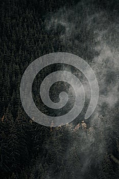 Aerial top view of misty forest trees in forest in Slovakia. Drone photography. Rainforest ecosystem and healthy environment conce