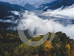 Letecký pohľad zhora na zahmlené lesné stromy v lese na Slovensku. Fotografovanie dronom. Ekosystém dažďového pralesa a zdravé životné prostredie conce