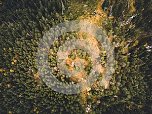 Letecký pohľad zhora na zahmlené lesné stromy v lese na Slovensku. Fotografovanie dronom. Ekosystém dažďového pralesa a zdravé životné prostredie conce