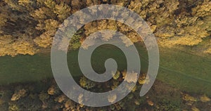 Aerial top view over field and autumn forest in the morning