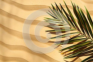 Aerial top view of palm leaf on the beach.