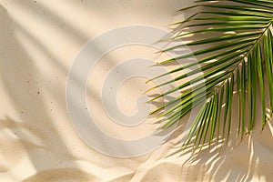 Aerial top view of palm leaf on the beach.