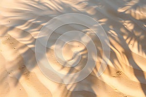 Aerial top view of palm leaf shadow on the beach.