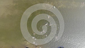 Aerial top view of people swimming in the river on a hot summer day