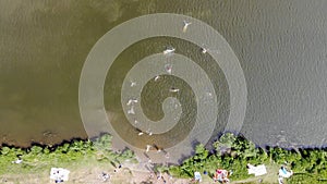 Aerial top view of people swimming in the river on a hot summer day