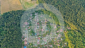 Aerial top view of residential area summer houses in forest from above, countryside real estate and dacha village in Ukraine