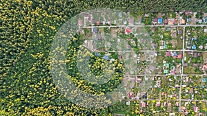 Aerial top view of residential area summer houses in forest from above, countryside real estate and dacha village in Ukraine