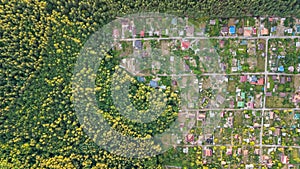 Aerial top view of residential area summer houses in forest from above, countryside real estate and dacha village in Ukraine photo