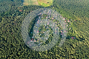 Aerial top view of residential area summer houses in forest from above, countryside real estate and dacha village in Ukraine photo