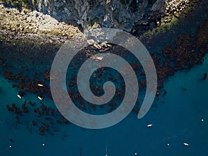 Aerial top view of sea waves crashing against the shoreline at Frog Rock on Catalina Island