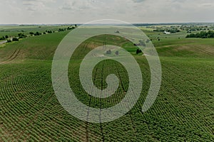 Aerial top view summer day aerial green nature Ukraine. Grass field blue sky white clouds