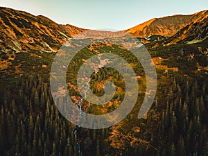 Aerial top view of summer green trees in forest in Slovakia. Drone photography.