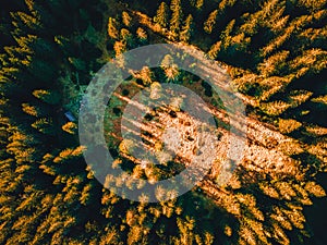 Letecký pohľad zhora na letné zelené stromy v lese na Slovensku. Fotografovanie dronom.