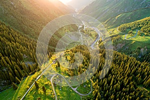 Aerial top view of summer green trees in forest with a splendid mountain river in Kazakhstan