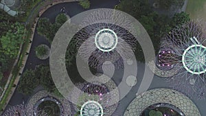 Aerial top view for Supertree grove in Gardens by Marina Bay Sands in Singapore. Shot. Illuminated, beautiful, colorful