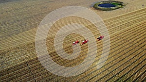 Aerial top view. three big red combine harvester machines harvesting corn field in early autumn. tractors filtering