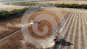 Aerial top view tractor harvester performs sunflower harvesting on the field. Production of seeds and sunflower oil