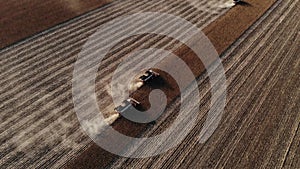 Aerial top view tractor harvester performs sunflower harvesting on the field. Production of seeds and sunflower oil