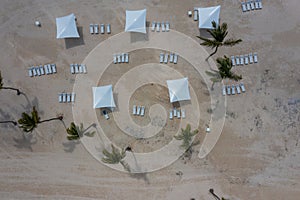 aerial top view of tropical white sand beach with palms, sun lounger and parasol