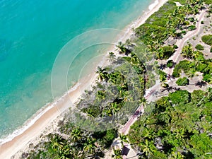 Aerial top view of tropical white sand beach and turquoise clear sea water with small waves and palm trees background.