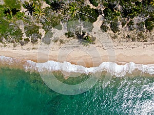 Aerial top view of tropical white sand beach and turquoise clear sea water with small waves and palm trees background.