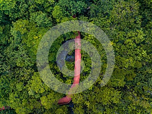 Aerial top view walkway in forest with trees and river