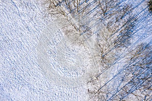 Aerial top view of winter park. trees with long shadows on snow