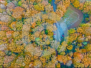 Aerial topshot from trees and a parking spot in fall in the Netherlands