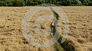 Aerial tracking shot of a man in orange t-shirt riding his bicycle along the summer field pathway in the countryside