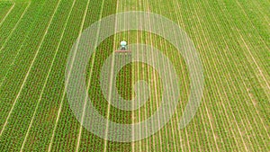 Aerial: tractor working on cultivated fields farmland, agriculture occupation, top down view of lush green cereal crops, sprintime