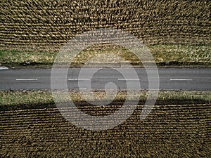Aerial Tranquility: Straight Rural Road Amidst Dried Cornfields