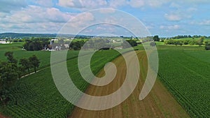 Aerial Traveling View of Corn Fields and Harvesting Crops, with Patches of Color