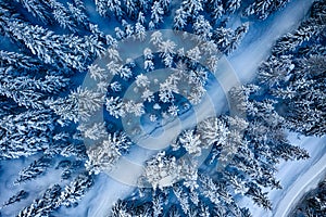 Aerial. Trees and snow in a winter forest. Nature background top view