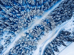 Aerial. Trees and snow in a winter forest. Nature background top view