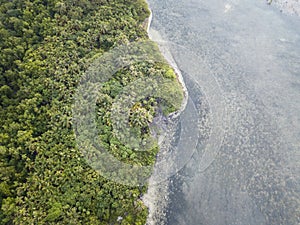 Aerial of Tropical Island Coastline