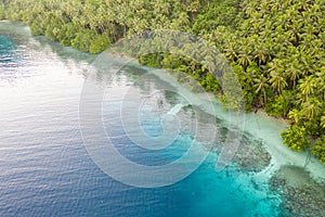 Aerial of Tropical Island and Fringing Reef in Papua New Guinea