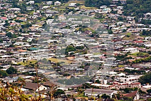 Aerial of tropical neighborhood