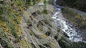 Aerial of uprooted forest in south tyrol after strong storm. Alpine valley